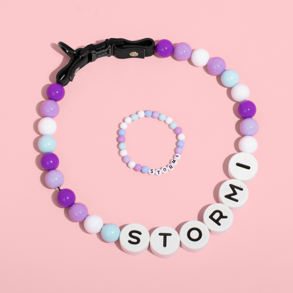 Collier pour chien BFF + Bracelet assorti offert