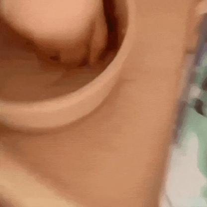 Coloriage à l'eau - Animaux marins, coloriage à l'eau, réutilisable (8 pages, 6-24 mois)