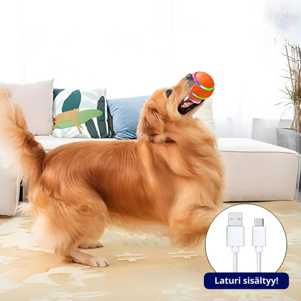 Smart Ball - Un compagnon de jeu qui se déplace tout seul pour votre chien