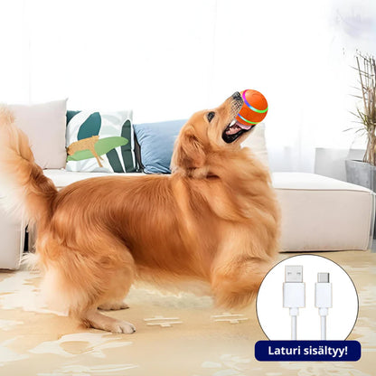 Smart Ball - Un compagnon de jeu qui se déplace tout seul pour votre chien